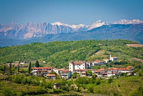 Prosta delovna mesta Goriška - Ne pozabite preveriti podjetje s to platformo!