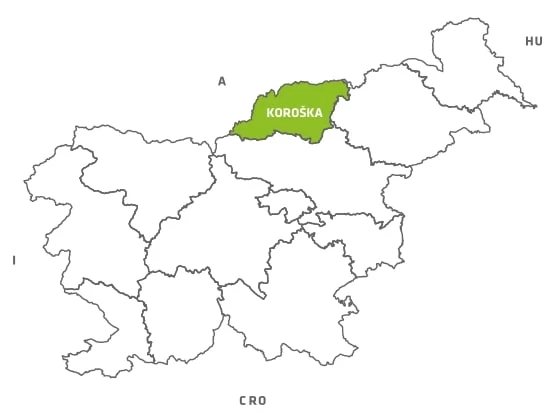 Prosta delovna mesta Koroška – Koraki do zaposlitve v slikoviti pokrajini Slovenije