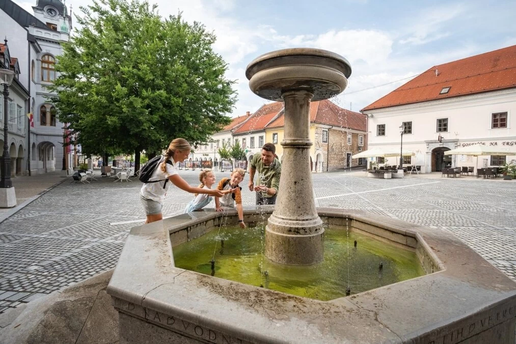 Prosta delovna mesta Novo Mesto - Sedaj lahko preverite delodajalce