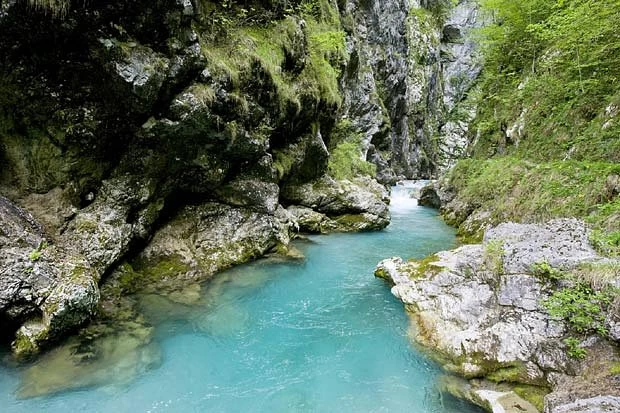 Prosta delovna mesta Tolmin  - Preverite delodajalca in najdite pravo delovno mesto