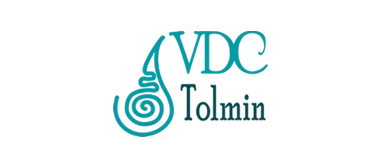 VDC Tolmin zaposleni - Kdo so, kakšno vlogo igrajo?